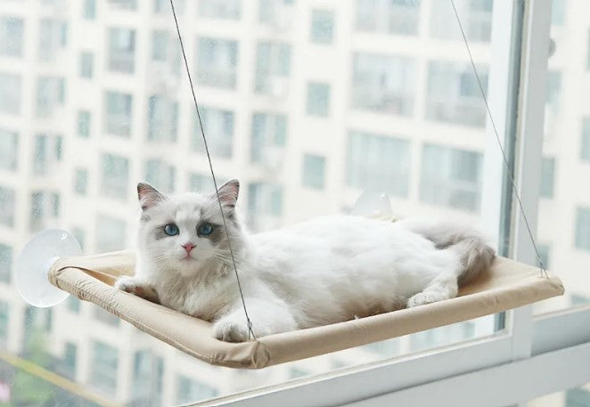 Pet Window Hammock Cat Bed good