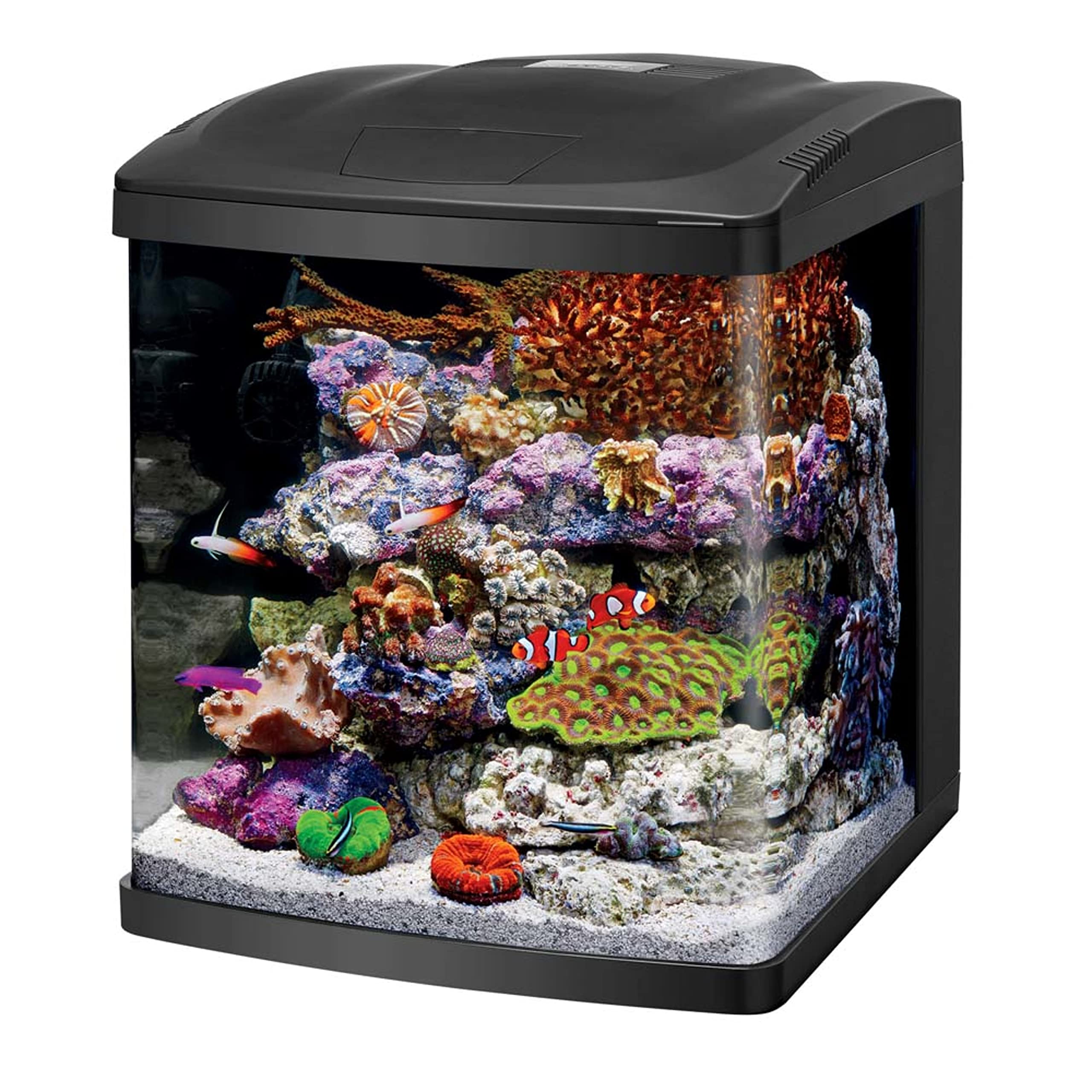 Coralife LED BioCube 16 Gallon Aquarium Kit