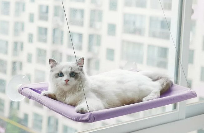 Pet Window Hammock Cat Bed good