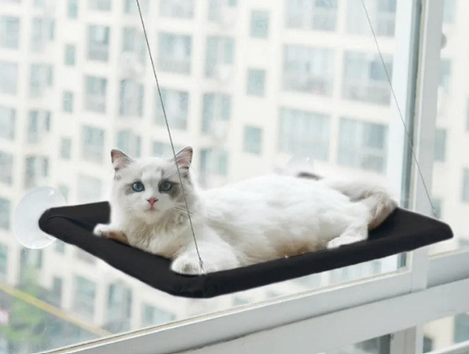 Pet Window Hammock Cat Bed good
