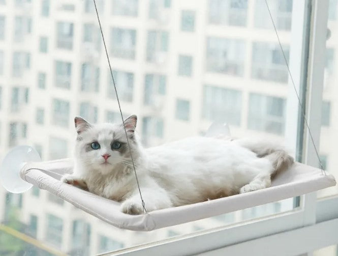 Pet Window Hammock Cat Bed good
