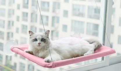 Pet Window Hammock Cat Bed good